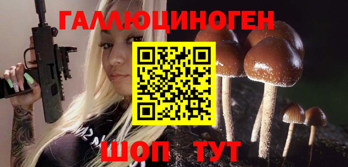 Галлюциногенные грибы Psilocybe  Вход с VPN  Бугуруслан 