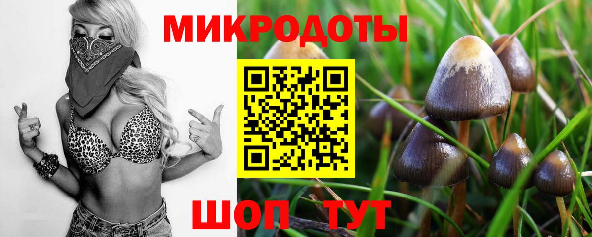 Галлюциногенные грибы Magic Shrooms Бугуруслан